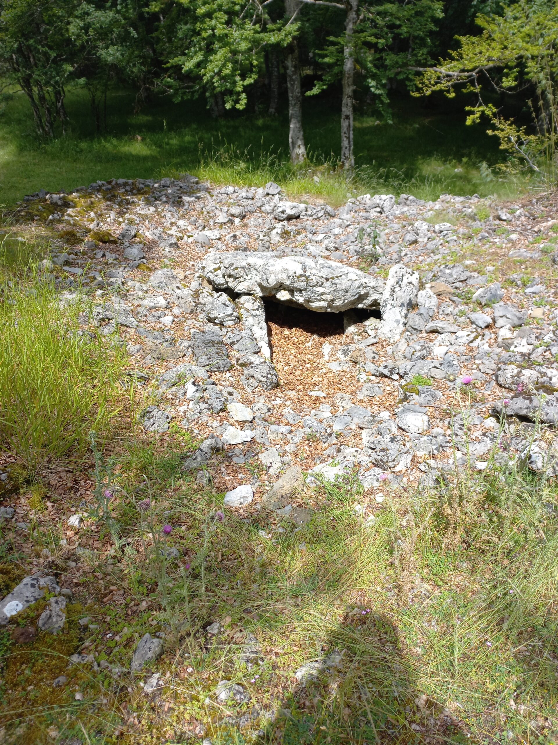 dolmen, mégalithe, pays basque, euskal herria